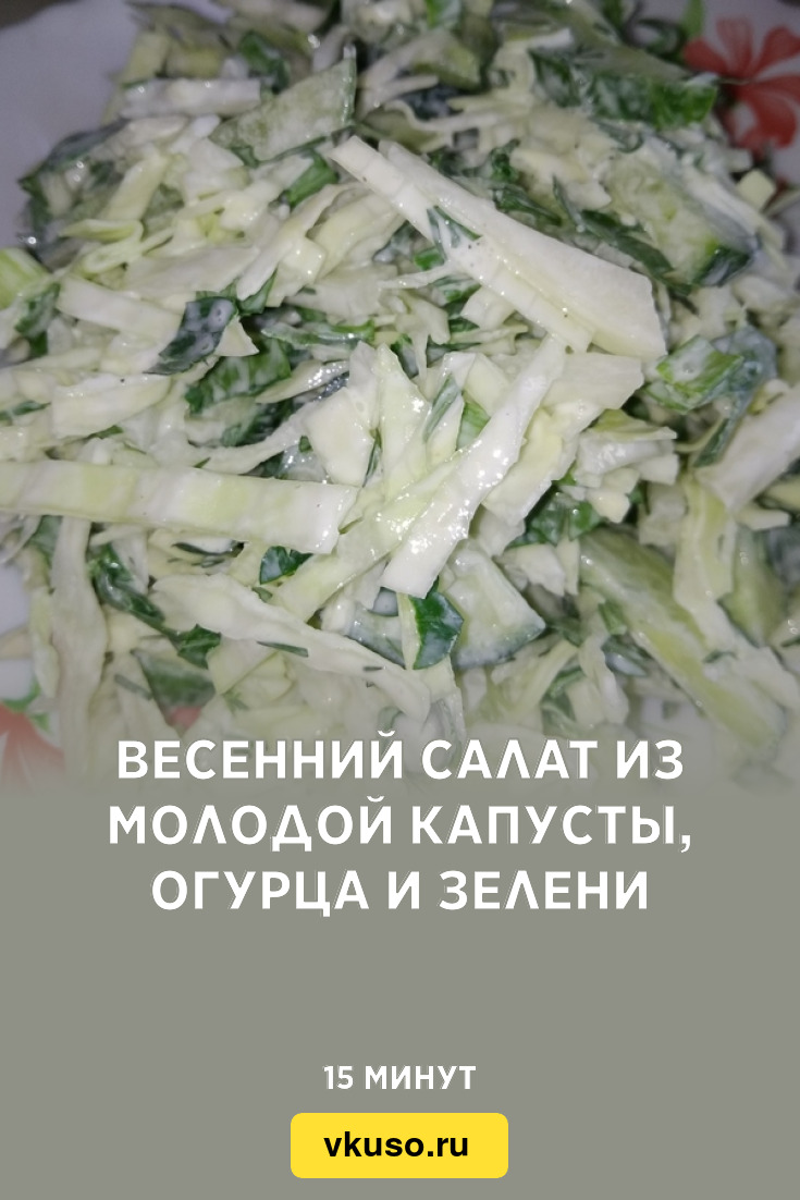 Весенний салат из молодой капусты, огурца и зелени, рецепт с фото пошагово  — Вкусо.ру