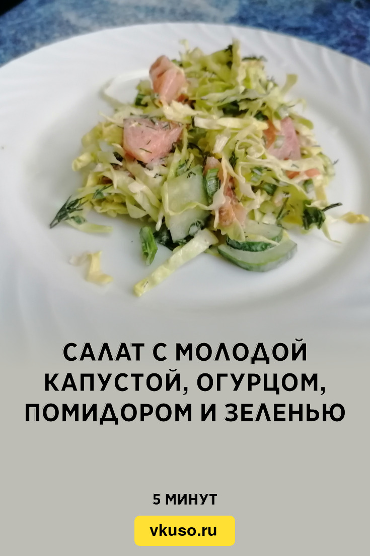 Салат с молодой капустой, огурцом, помидором и зеленью, рецепт с фото и  видео — Вкусо.ру