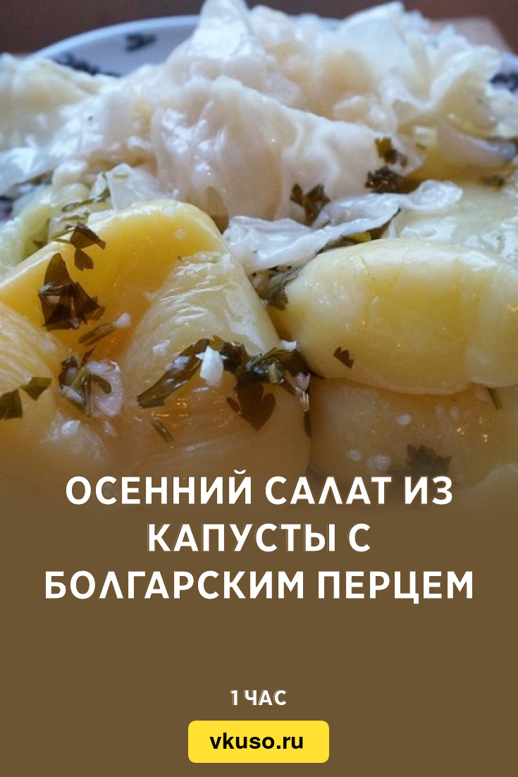 Осенний салат из капусты с болгарским перцем, рецепт с фото — Вкусо.ру