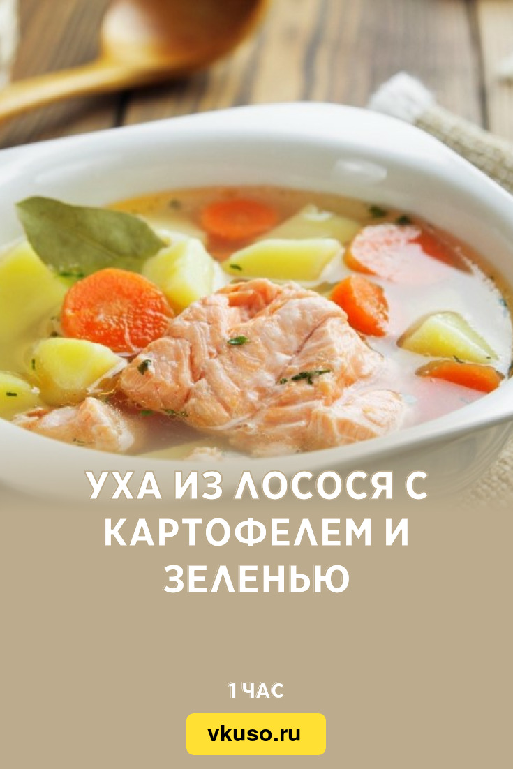 Уха из лосося с картофелем и зеленью, рецепт с фото — Вкусо.ру