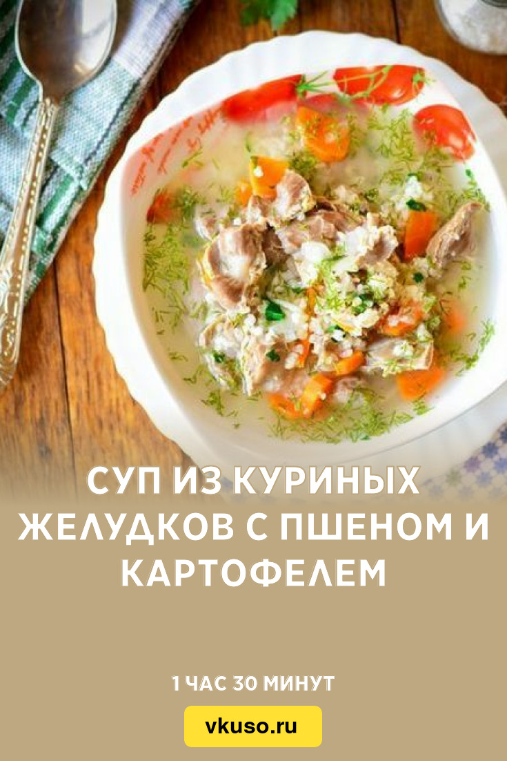 Суп из куриных желудков с пшеном и картофелем, рецепт с фото — Вкусо.ру