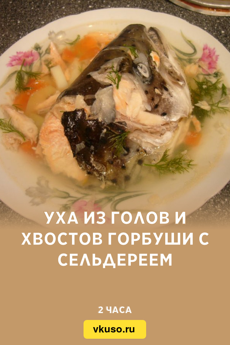 Уха из голов и хвостов горбуши с сельдереем, рецепт с фото и видео —  Вкусо.ру