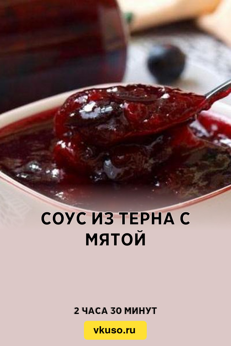 Соус из терна с мятой, рецепт с фото — Вкусо.ру