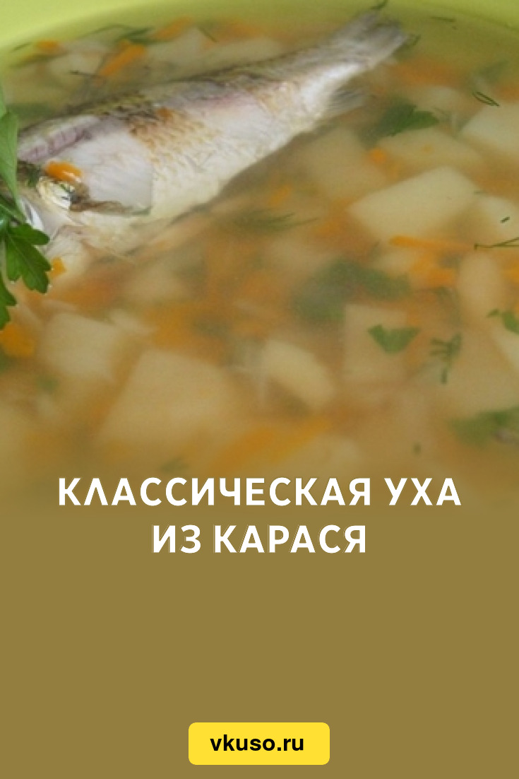 Классическая уха из карася, рецепт с фото — Вкусо.ру