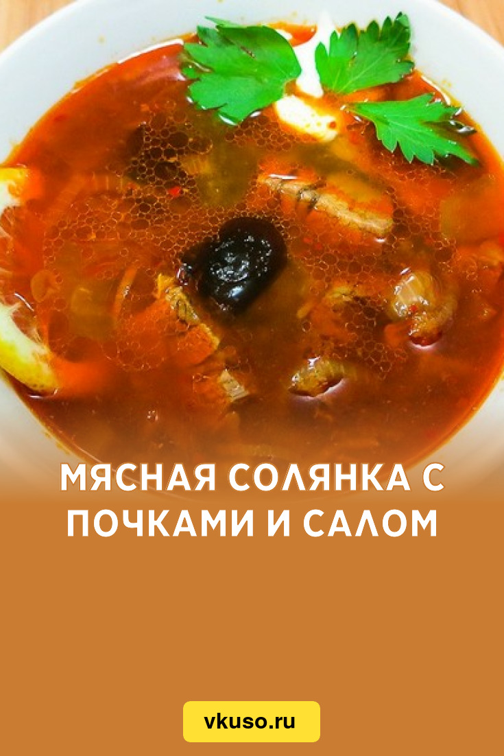 Мясная солянка с почками и салом