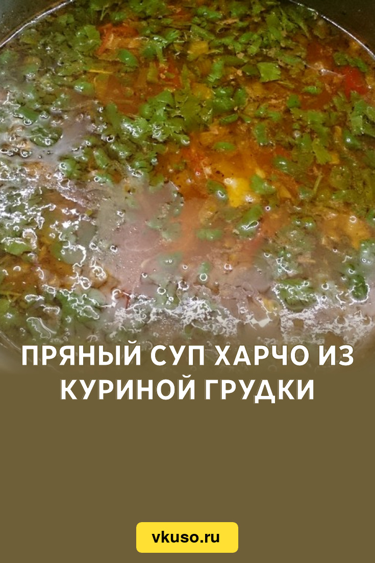 Пряный суп харчо из куриной грудки, рецепт с фото — Вкусо.ру