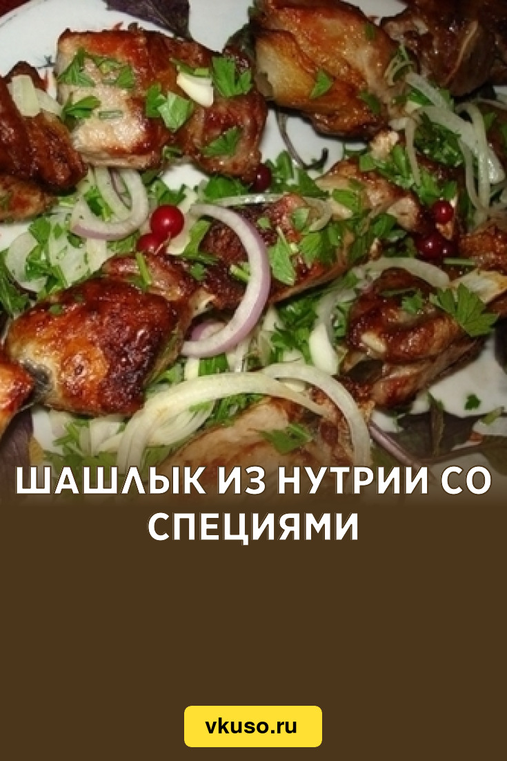 Шашлык из нутрии со специями, рецепт с фото — Вкусо.ру