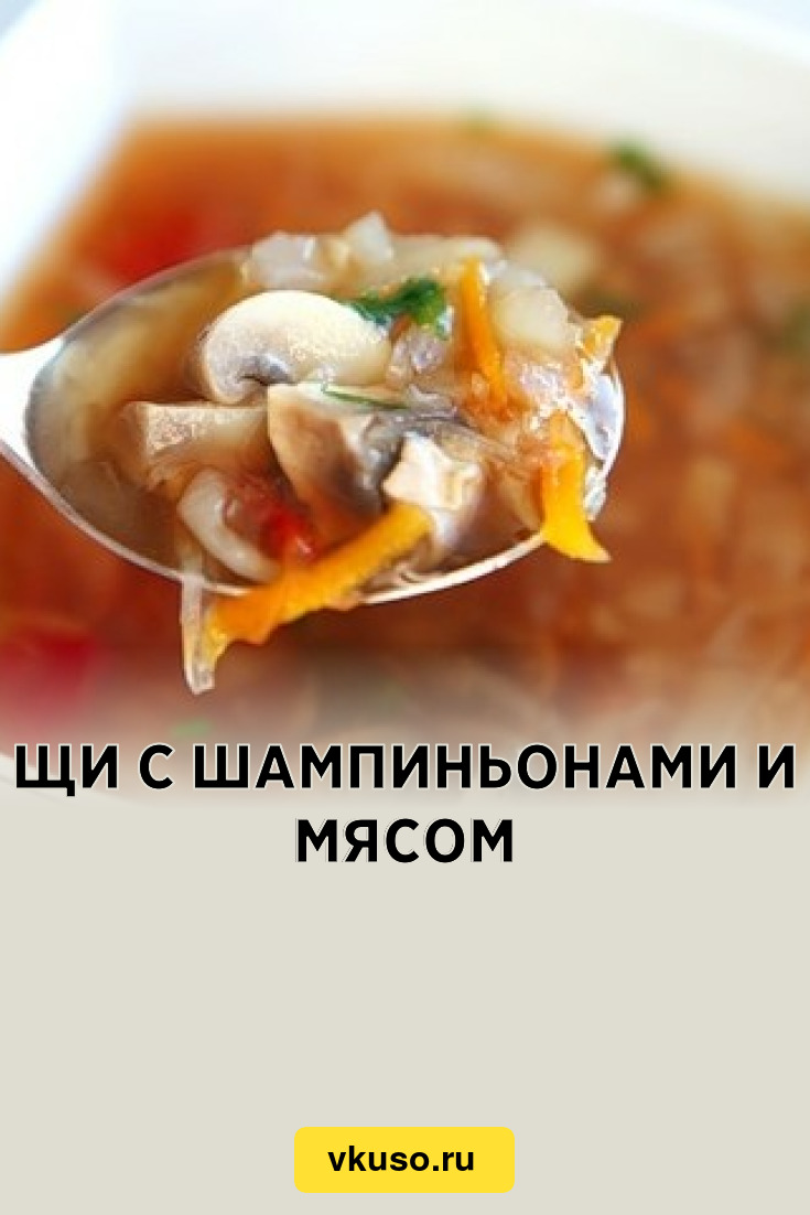 Щи с шампиньонами и мясом, рецепт с фото — Вкусо.ру