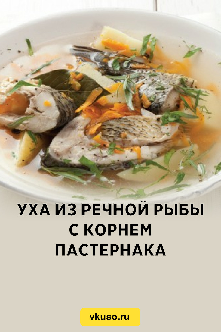 Уха из речной рыбы с корнем пастернака, рецепт с фото — Вкусо.ру