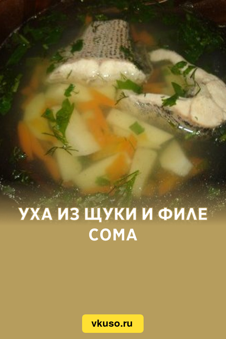 Уха из щуки и филе сома, рецепт с фото — Вкусо.ру