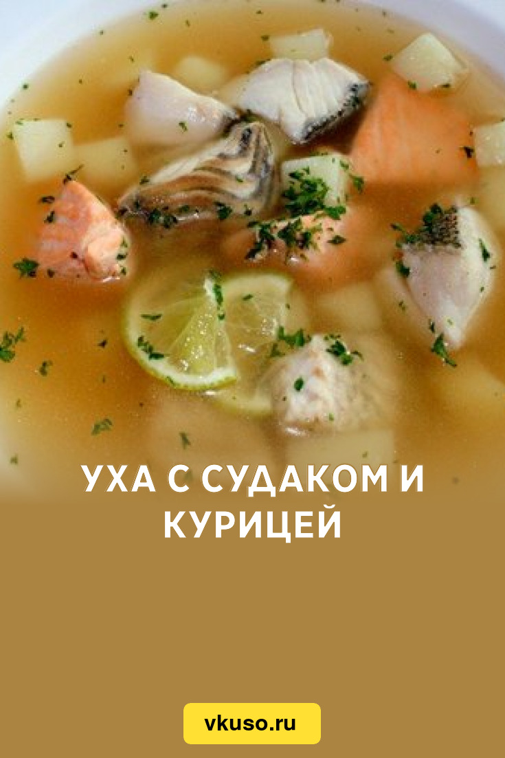 Уха с судаком и курицей, рецепт с фото — Вкусо.ру